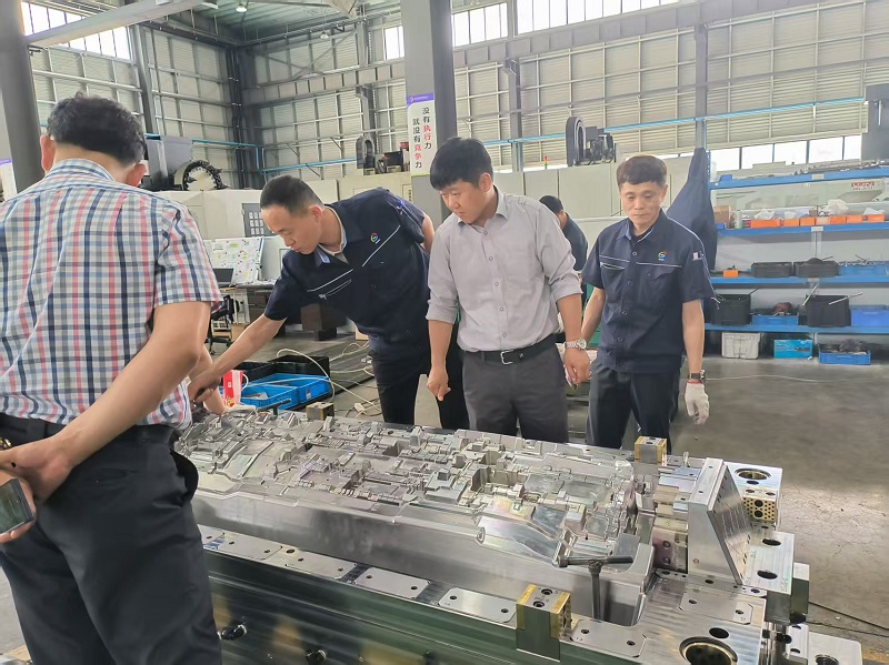 Tá Moladh á Thuilleamh ag Iarracht Sármhaitheasa: Aithníonn an Custaiméir Glacadh Mould IP go hArd